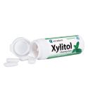 2110000060602_3190_1_miradent_xylitol_spearmint_kaugummi_30g_4ed75903.jpg