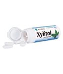 2110000060619_1558_1_miradent_xylitol_kaugummi_peppermint_30g_8487534c.jpg